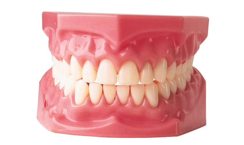 Discovering the Benefits of Dentures: Restoring Your Smile and Confidence